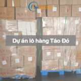 Du an lo hang Tao Do 00 Finlogistics https://finlogistics.vn